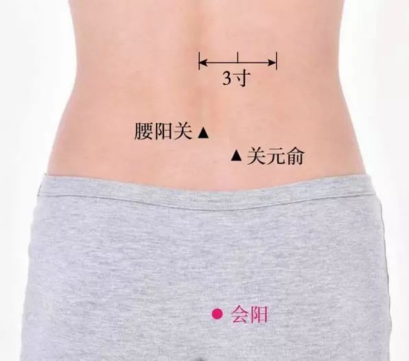 会阳穴的准确穴位图及功效作用