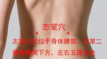 志室穴的准确穴位图及功效作用