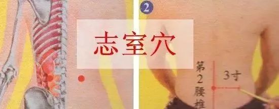 志室穴的准确穴位图