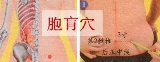 胞肓穴位的作用
