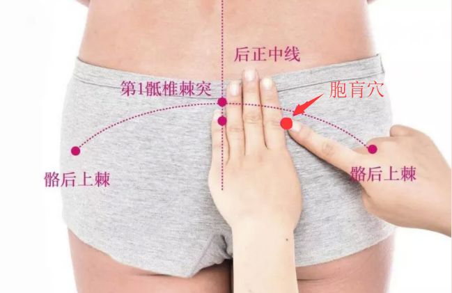 胞肓穴的准确穴位图及作用
