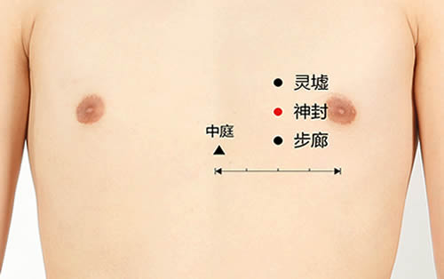 神封穴的准确位置图及功效