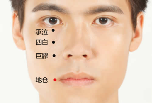 地仓穴的准确位置图及功效作用