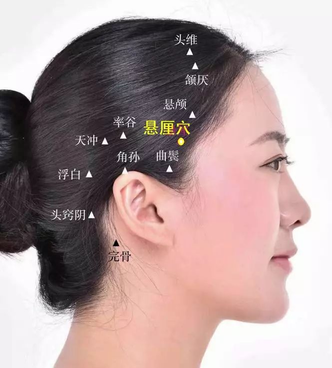 悬厘穴的准确位置图