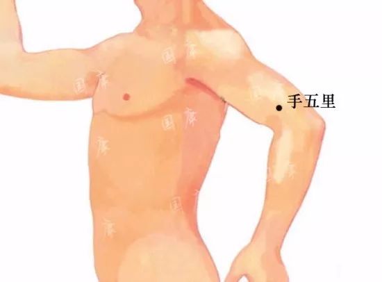 手五里的功效作用