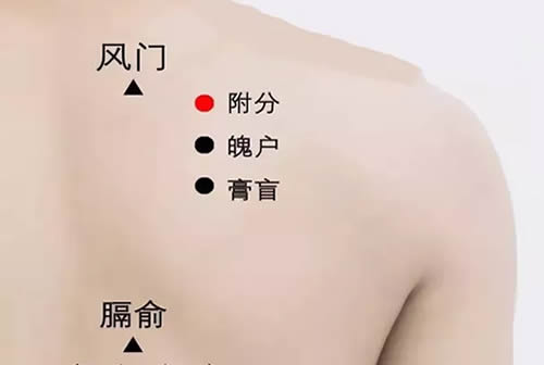 附分穴的准确穴位图及作用