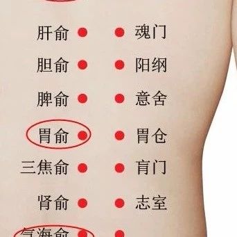 胃俞穴位位置图及功效作用