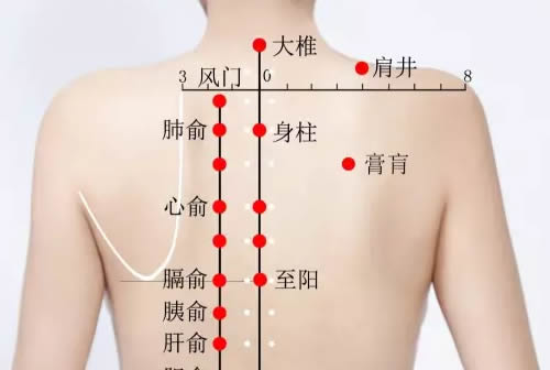 <b>膏肓穴的准确穴位图及作用</b>