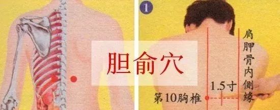 胆俞穴的作用