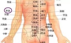 胆俞穴的准确穴位图及作用