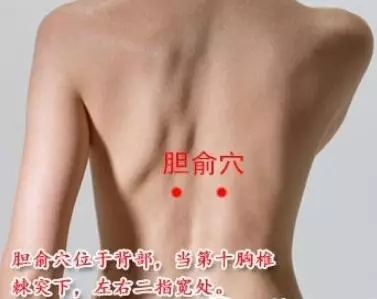 胆俞穴的准确穴位图