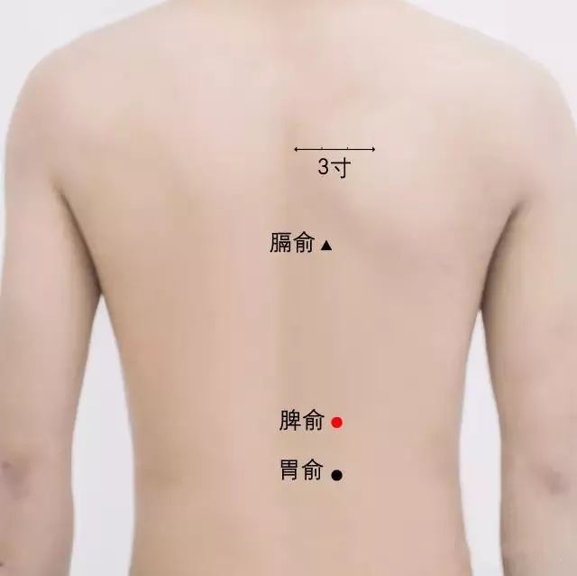 脾俞穴的准确穴位图及作用