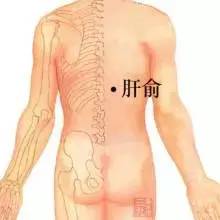脾俞穴的作用