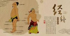 人体穴位图