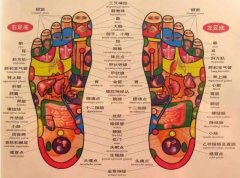 脚底穴位
