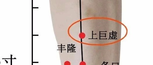 上巨虚穴的作用
