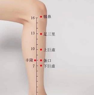 条口穴的准确穴位图及作用