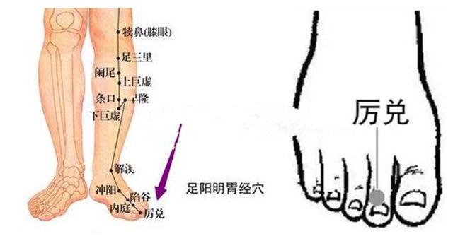 厉兑穴的准确穴位图及作用