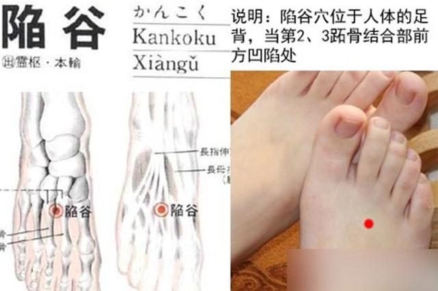 陷谷穴的准确穴位图
