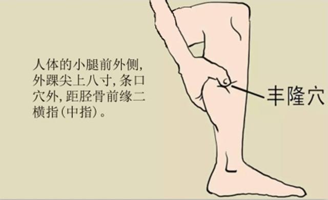 丰隆穴的准确穴位图