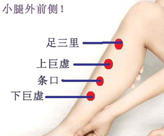 下巨虚穴的作用
