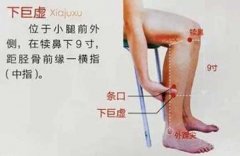 下巨虚的位准确穴位图及作用