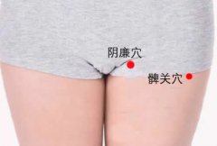 髀关穴的准确穴位图及功效作用