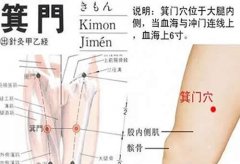 箕门穴的准确穴位图及作用