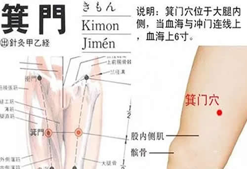 箕门穴的准确穴位图