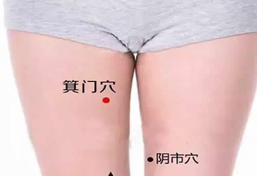 箕门穴的准确穴位图及作用