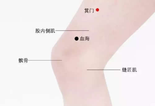 箕门穴的作用