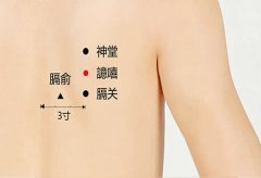 <b>譩嘻穴读音及准确穴位图和功效作用</b>