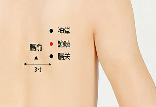 譩嘻穴读音及准确穴位图和功效作用