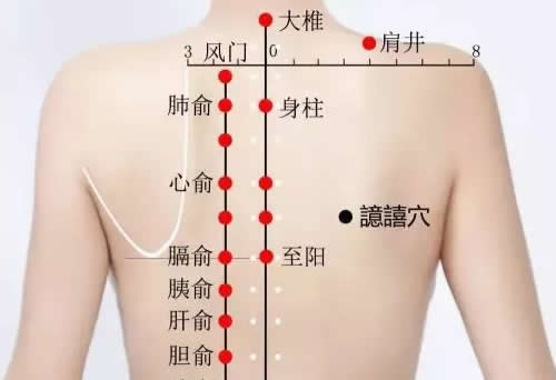 譩嘻穴的准确穴位图