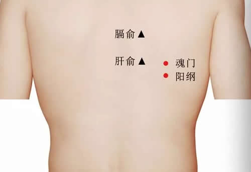 魂门穴的准确位置图