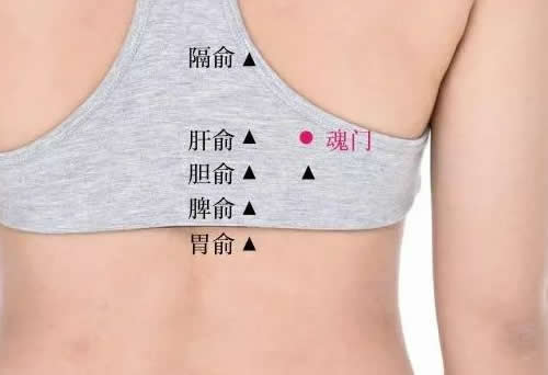 魂门穴的功效与作用