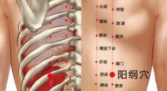 <b>阳纲穴的准确穴位图及作用</b>