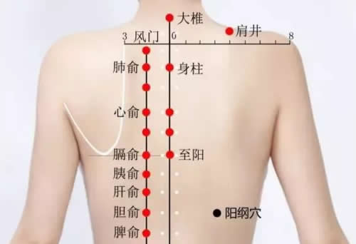 阳纲穴的准确穴位图