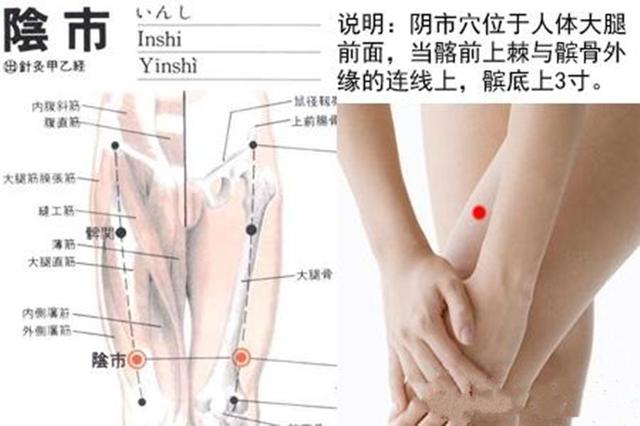 阴市穴的准确穴位图