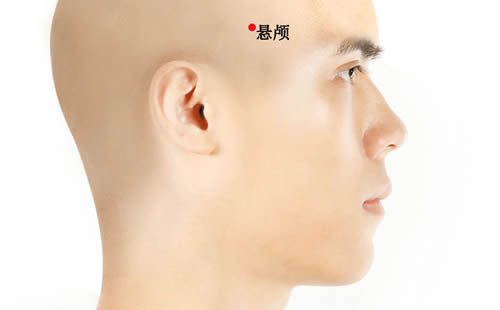 悬颅穴的准确穴位图