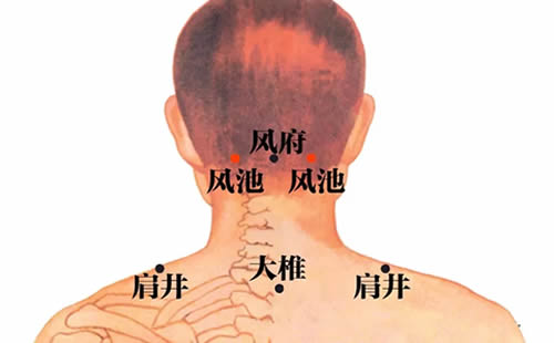 风池穴的作用