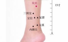 筑宾穴的准确穴位图及作用