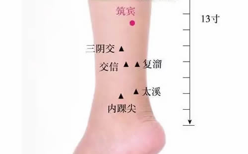 筑宾穴的准确穴位图及作用
