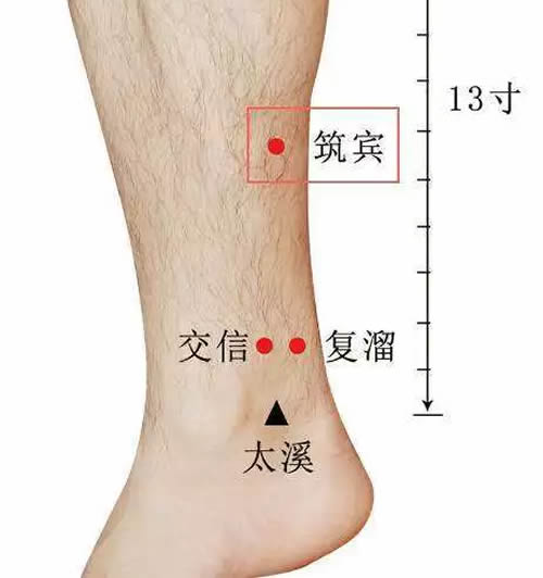 筑宾穴的作用