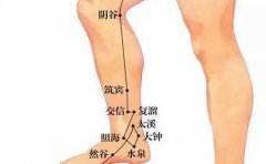阴谷穴的准确穴位图及作用