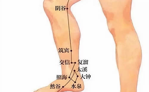 阴谷穴的准确穴位图及作用