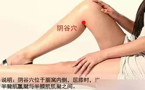 阴谷穴的准确穴位图