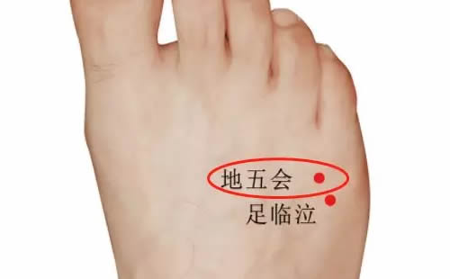 地五会的准确穴位图及作用