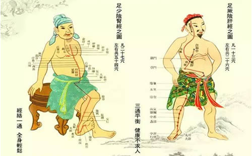 十二经络熟读