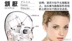 颔厌穴的准确穴位图及作用